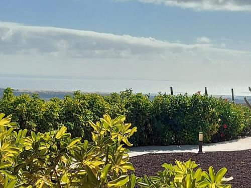 Apartamento 8 del hotel The Black Horse Canarias