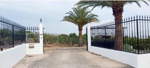 Apartamento 8 del hotel The Black Horse Canarias. Foto 7