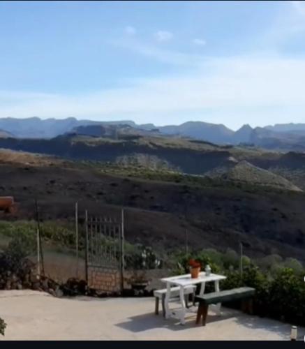 Apartamento 8 del hotel The Black Horse Canarias. Foto 11