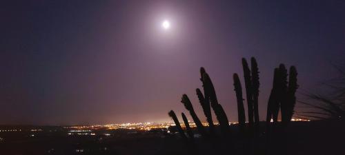 Apartamento 7 del hotel The Black Horse Canarias. Foto 14
