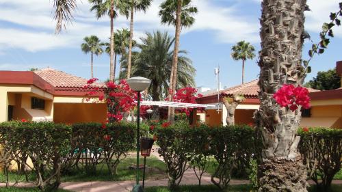 Bungalow del hotel Gay Artemisa. Foto 14