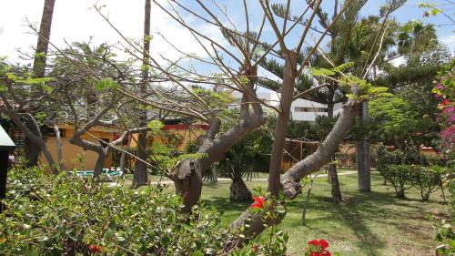 Bungalow (2 Adults) del hotel Gay Artemisa. Foto 13