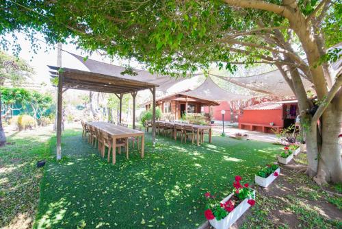 Bungalow (2 Adults) del hotel Gay Artemisa. Foto 1