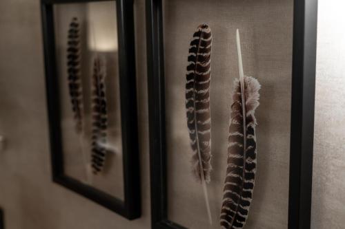 Junior Suite del hotel Taburiente. Foto 1