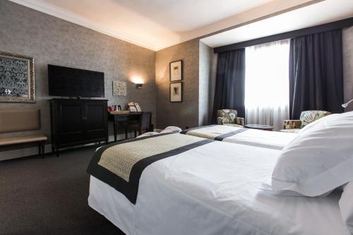 Habitación Doble Superior - 1 o 2 camas del hotel Carlton. Foto 9