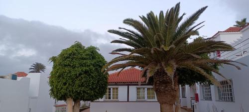 Apartamento de 1 dormitorio del hotel Las Casitas de Corralejo. Foto 4