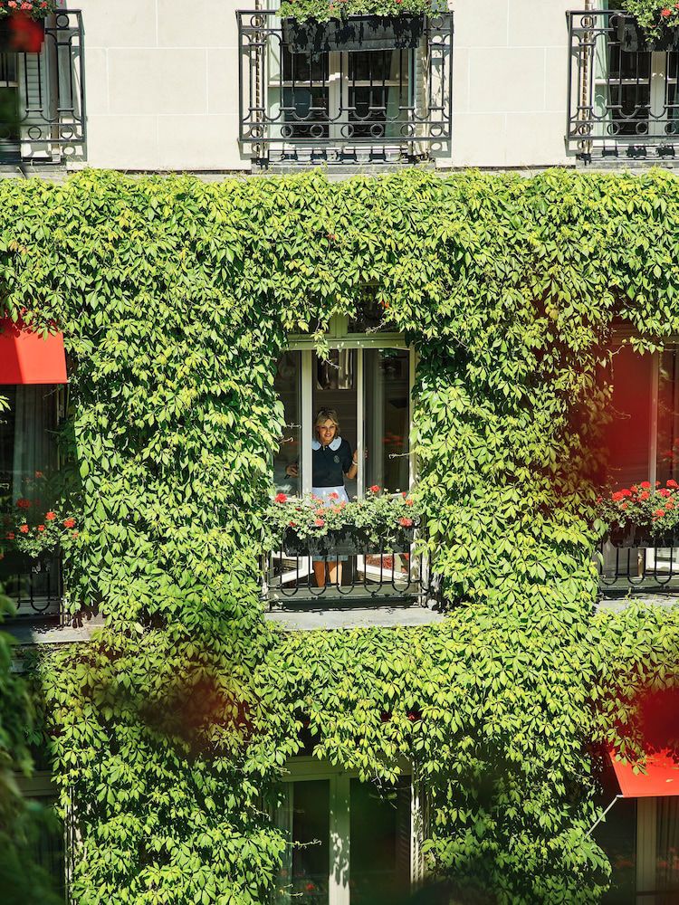 Suite Deluxe del hotel Plaza Athénée - Dorchester Collection. Foto 3