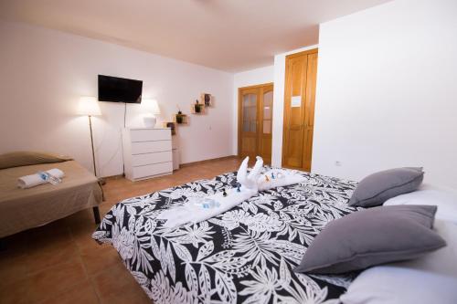 Habitación Extragrande con baño compartido del hotel Surf Riders Fuerteventura - Adults Only. Foto 3