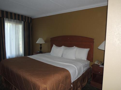 Habitación con cama extragrande - Fumadores del hotel Quality Inn and Suites Fairgrounds