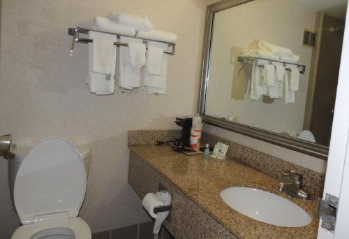 Suite Doble - no fumadores del hotel Quality Inn and Suites Fairgrounds