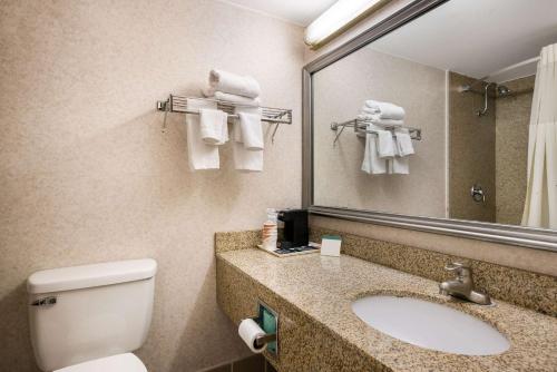 Habitación King - No fumadores del hotel Quality Inn and Suites Fairgrounds. Foto 4