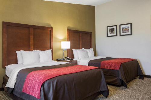 Habitación adaptada para personas con discapacidad - 2 camas grandes - No fumadores del hotel Comfort Inn Glenmont - Albany South. Foto 3