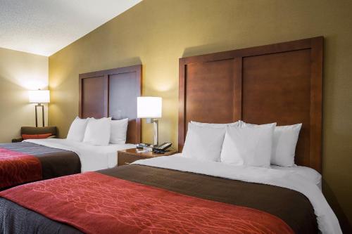 Habitación adaptada para personas con discapacidad - 2 camas grandes - No fumadores del hotel Comfort Inn Glenmont - Albany South. Foto 4