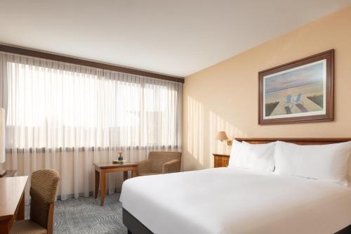 Habitación con cama extragrande del hotel Hilton Strasbourg