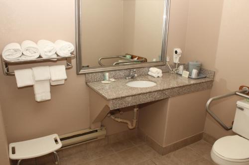 Habitación adaptada para personas con movilidad reducida - No fumadores - Cama grande del hotel Quality Inn. Foto 2