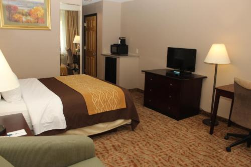 Habitación adaptada para personas con movilidad reducida - No fumadores - Cama grande del hotel Quality Inn. Foto 3