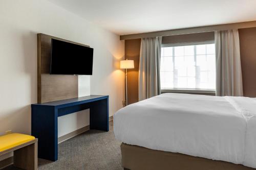 Suite con cama extragrande - No fumadores del hotel Comfort Inn and Suites East Greenbush - Albany. Foto 3