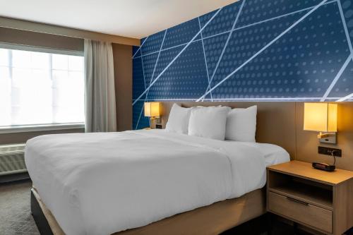 Suite con cama extragrande - No fumadores del hotel Comfort Inn and Suites East Greenbush - Albany. Foto 5