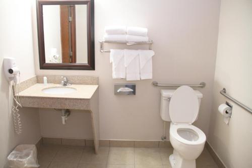 Habitación adaptada para personas con discapacidad - 2 camas grandes - No fumadores del hotel Comfort Inn Carrier Circle. Foto 1