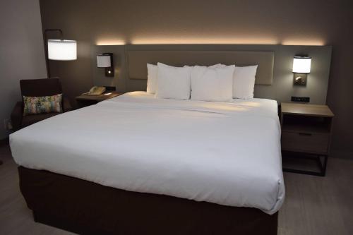 Habitación - 1 cama extragrande - No fumadores del hotel Comfort Inn Carrier Circle. Foto 1