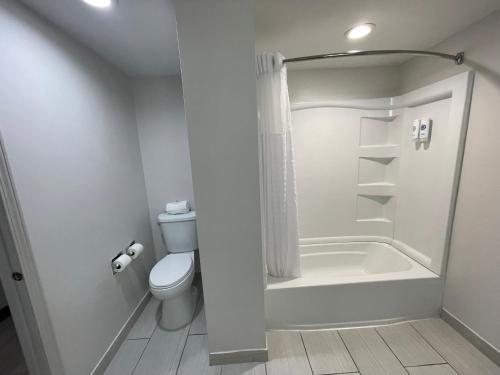 Suite para no fumadores - cama extragrande del hotel Comfort Inn Carrier Circle. Foto 4
