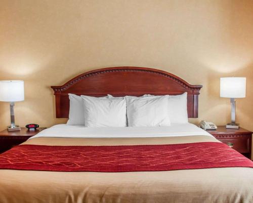 Habitación con cama extragrande adaptada para persona de movilidad reducida - No fumadores del hotel Quality Inn Near Walden Galleria Mall. Foto 3