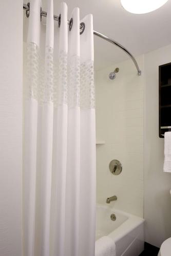 Habitación adaptada para personas de movilidad reducida - No fumadores - Cama extragrande del hotel Hampton Inn Brooklyn/downtown. Foto 4