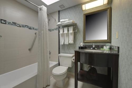 Habitación Estándar - Cama extragrande del hotel Holiday Inn Plainview Long Island. Foto 1