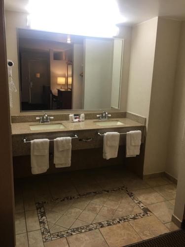 Suite Estudio con 2 camas grandes - No fumadores del hotel Ramada Rockville Centre. Foto 1