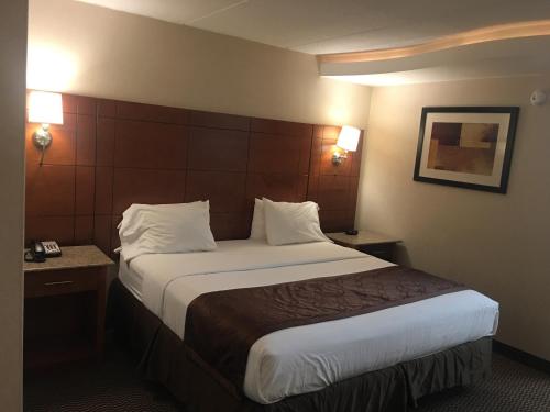 Suite Deluxe con cama extragrande para no fumadores del hotel Ramada Rockville Centre. Foto 2