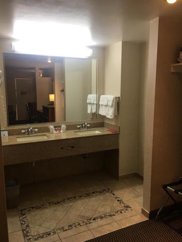 Suite Estudio Deluxe con cama extragrande - No fumadores del hotel Ramada Rockville Centre. Foto 1