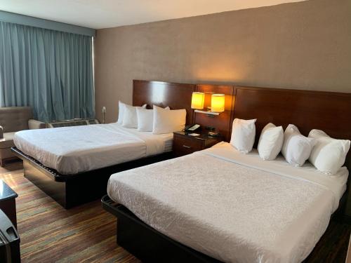 Habitación con 2 camas grandes - No fumadores del hotel Albany Airport Inn. Foto 6
