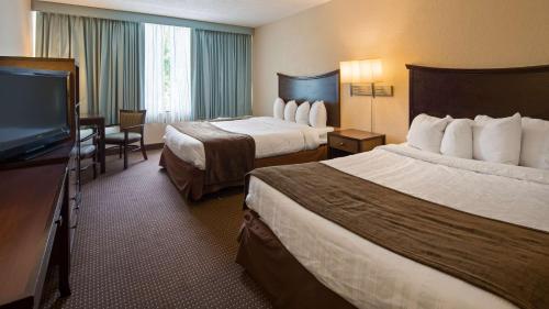 Habitación con ducha a ras de suelo adaptada para personas con discapacidad - Cama grande del hotel Albany Airport Inn