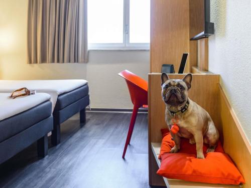 Habitación Doble Estándar - 2 camas del hotel Ibis Milano Centro. Foto 5