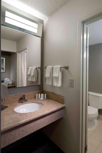 Habitación Preferente con 1 cama extragrande, balcón y vistas a la piscina del hotel Sonesta Select Boca Raton Town Center. Foto 1