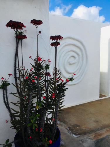 Estudio Estándar del hotel Villa Marina Apartamentos y Habitaciones. Foto 4