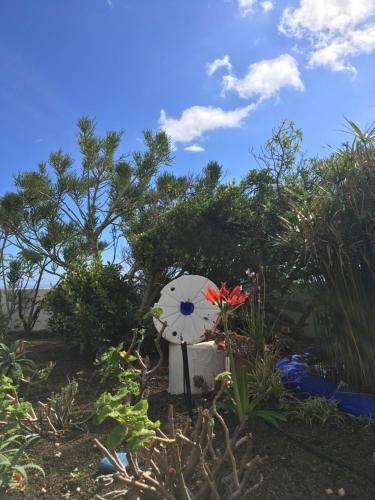 Estudio Estándar del hotel Villa Marina Apartamentos y Habitaciones. Foto 14