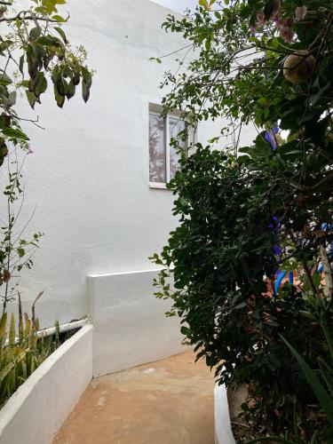 Estudio Estándar del hotel Villa Marina Apartamentos y Habitaciones. Foto 25