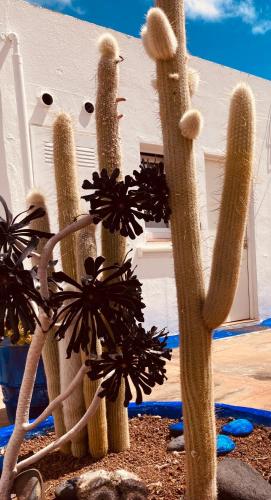 Habitación Doble con ducha - 2 camas del hotel Villa Marina Apartamentos y Habitaciones. Foto 22