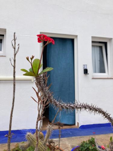 Habitación Doble con ducha - 2 camas del hotel Villa Marina Apartamentos y Habitaciones. Foto 23