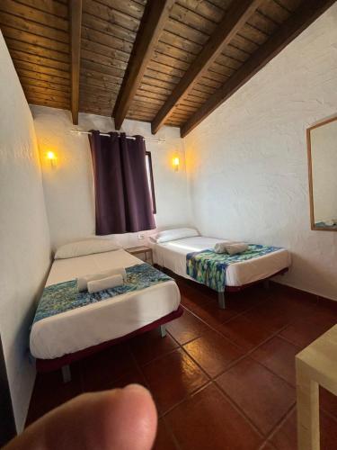 Apartamento de 1 dormitorio del hotel Villa Marina Apartamentos y Habitaciones. Foto 2