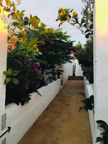 Apartamento de 1 dormitorio del hotel Villa Marina Apartamentos y Habitaciones. Foto 12