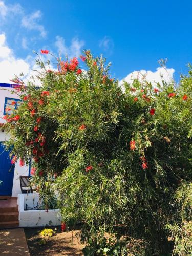 Apartamento de 1 dormitorio del hotel Villa Marina Apartamentos y Habitaciones. Foto 30