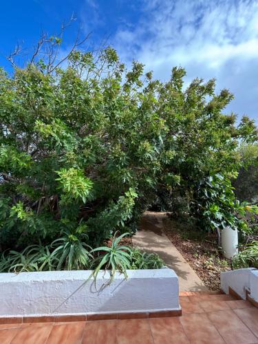 Apartamento de 1 dormitorio del hotel Villa Marina Apartamentos y Habitaciones. Foto 56