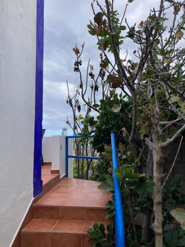 Estudio Estándar del hotel Villa Marina Apartamentos y Habitaciones. Foto 23