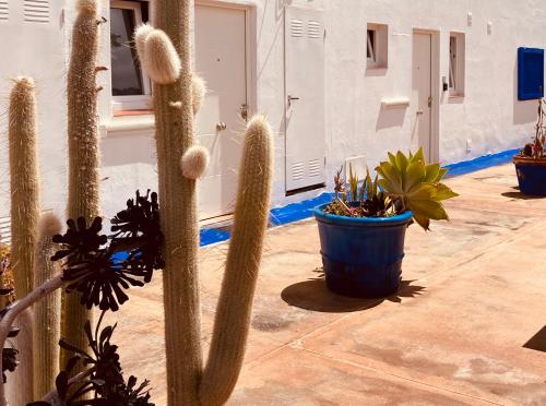 Habitación Doble con ducha - 2 camas del hotel Villa Marina Apartamentos y Habitaciones. Foto 19