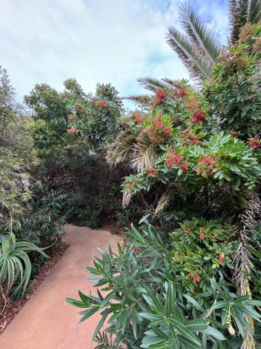 Apartamento de 1 dormitorio del hotel Villa Marina Apartamentos y Habitaciones. Foto 42