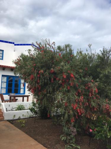 One-Bedroom Apartment (2 Adults) del hotel Villa Marina Apartamentos y Habitaciones. Foto 26