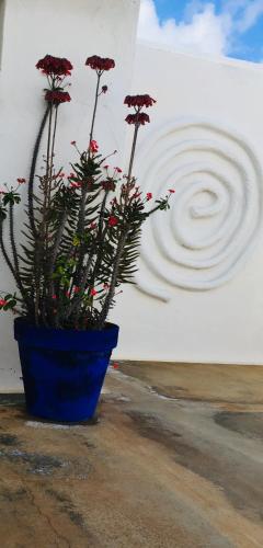 One-Bedroom Apartment (2 Adults) del hotel Villa Marina Apartamentos y Habitaciones. Foto 41