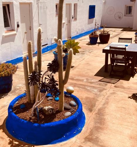 Twin Room with Shower del hotel Villa Marina Apartamentos y Habitaciones. Foto 1